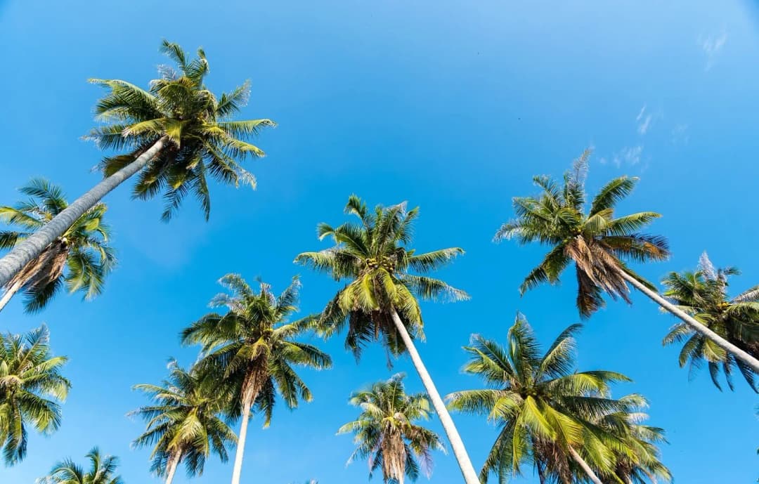 Summer Safety Tips for LA Residents