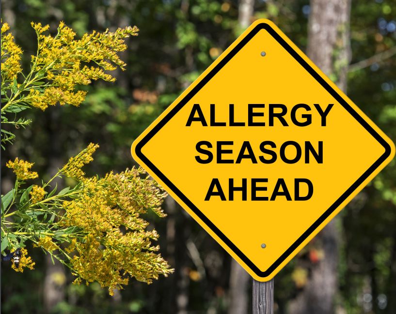 Tips to Prevent Spring Allergies Los Angeles Community Hospital at